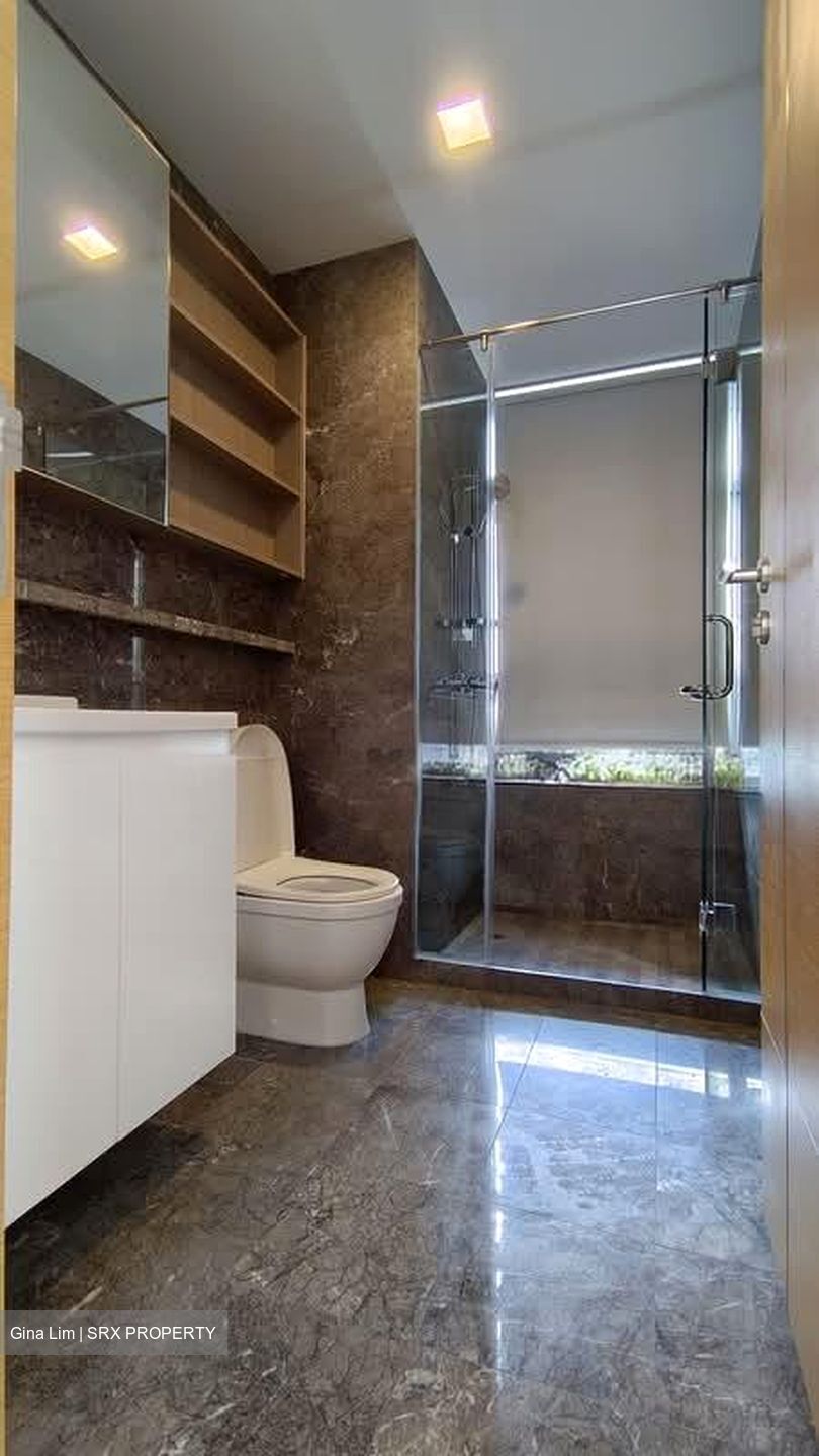 Suites @ Cairnhill (D9), Apartment #602861131
